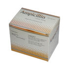 A ampicilina derivada sintética encerra 250 medicamentações antibióticas orais do magnésio do magnésio 500