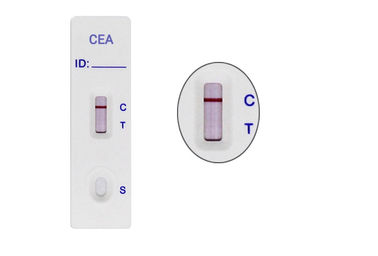 Gaveta rápida da tira de teste do antígeno Carcinoembryonic exato do CEA que utiliza WB/S/P